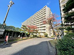 市川グリーンハイツ　Ａ号棟 903