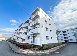 エステート晴見 203