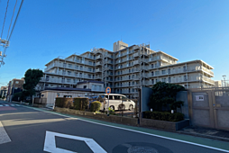 コープ野村東六郷 503