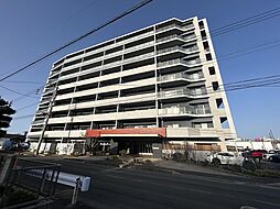 ザ・プレース永犬丸 803