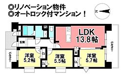 モアグレース若竹