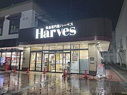 レオネクストコミンチャーレ九条 204