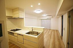 サンシャイン平塚　1007号室