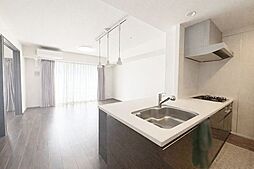 プレサンスロジェ白壁テラス