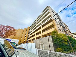 アデニウム吉祥寺