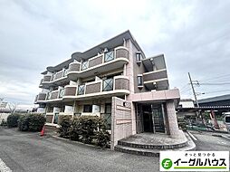 マーベラス 204