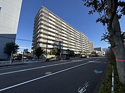 ハイラーク木場 713