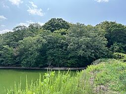 赤磐市東軽部 山林