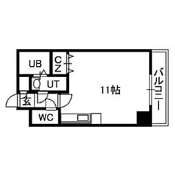 セントポーリアカルーア