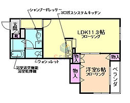 ブランレグルス
