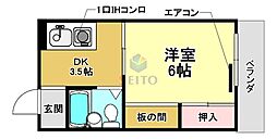 ルミナスコート