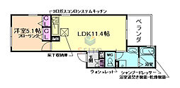 ＢＬＩＳＳ ＣＯＵＲＴ