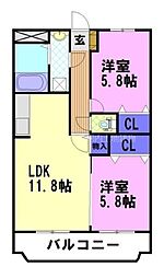 Y＆Mアシュモ 101