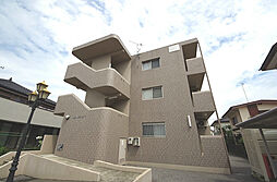 Y＆M カミュー 102