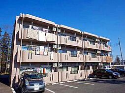 Y＆Mシルキー 301