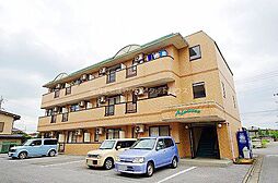 アドヴァンス 302