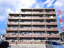 Y＆M TAKAHASHI 1 503