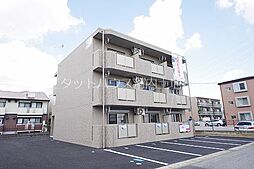 Y＆MメゾンドールTM 202