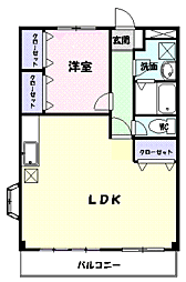 ＳＡＰＨＹ（サフィー） 305