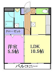 ソル・レヴァンテ錦 305