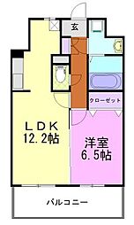 アルトカッシーナ 501