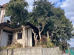 白子中古戸建て