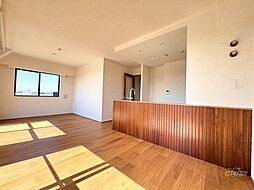 ドラゴンマンション藤沢弐番館 901