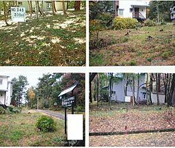 福島県・猪苗代字不動 ＮＯ３４５