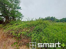 小美玉市野田　土地