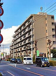 ハイラーク若葉マロニエアベニュー