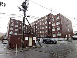 ロピア宮丘公園