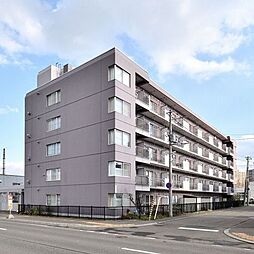 エバーグリーン美園