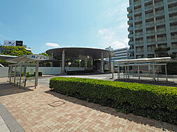 都会の喧騒を忘れさせる、深緑の邸宅地。岡本1丁目の静謐。