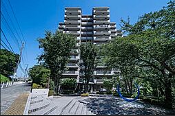 三ツ沢ガーデン山ヒルズ緑が隣り合う、1階角部屋の特権。