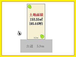 板橋区三園1　都心の利便性と豊かな自然が調和する場所