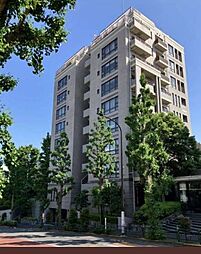 サンウッド目白台　角住戸　陽当たり良好