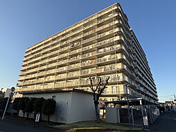 アイビハイツ川口