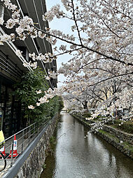 イーグルコート御池高瀬川