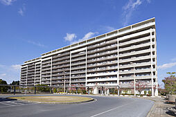 エストリオいには野