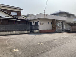 西尾市寺津町枯木