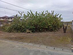 小山市大字乙女