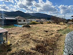 海南市沖野々売土地