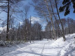 上田市 菅平高原