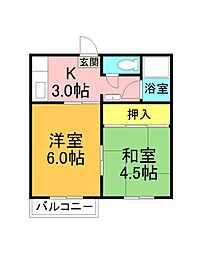 パナハイツ常盤 203号