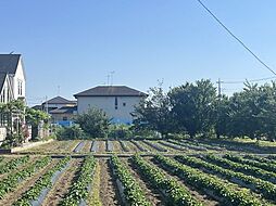 売土地　白岡市高岩