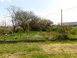 売土地　白岡市荒井新田