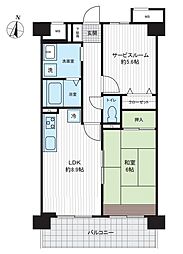 セレッソ大和田