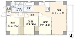 ヴィアーレ浦和