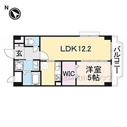 アプリコット　こさか
