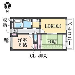アフロディ布市 605